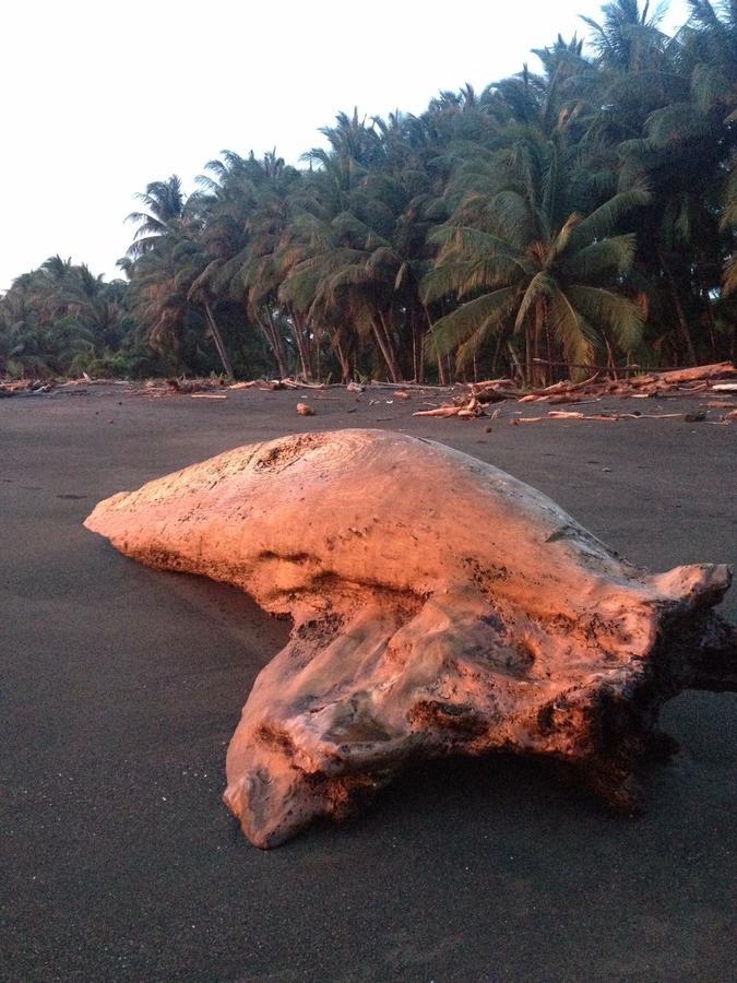 Cabinas Sol Y Mar Zancudo Kültér fotó